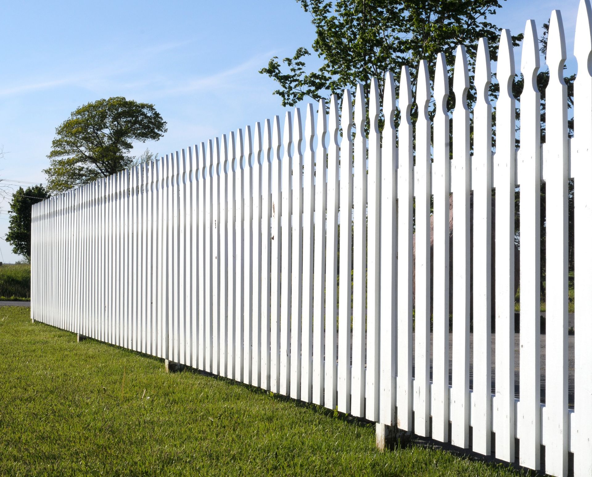 White picket fence in a grassy yard, under a blue sky, with trees in the background.