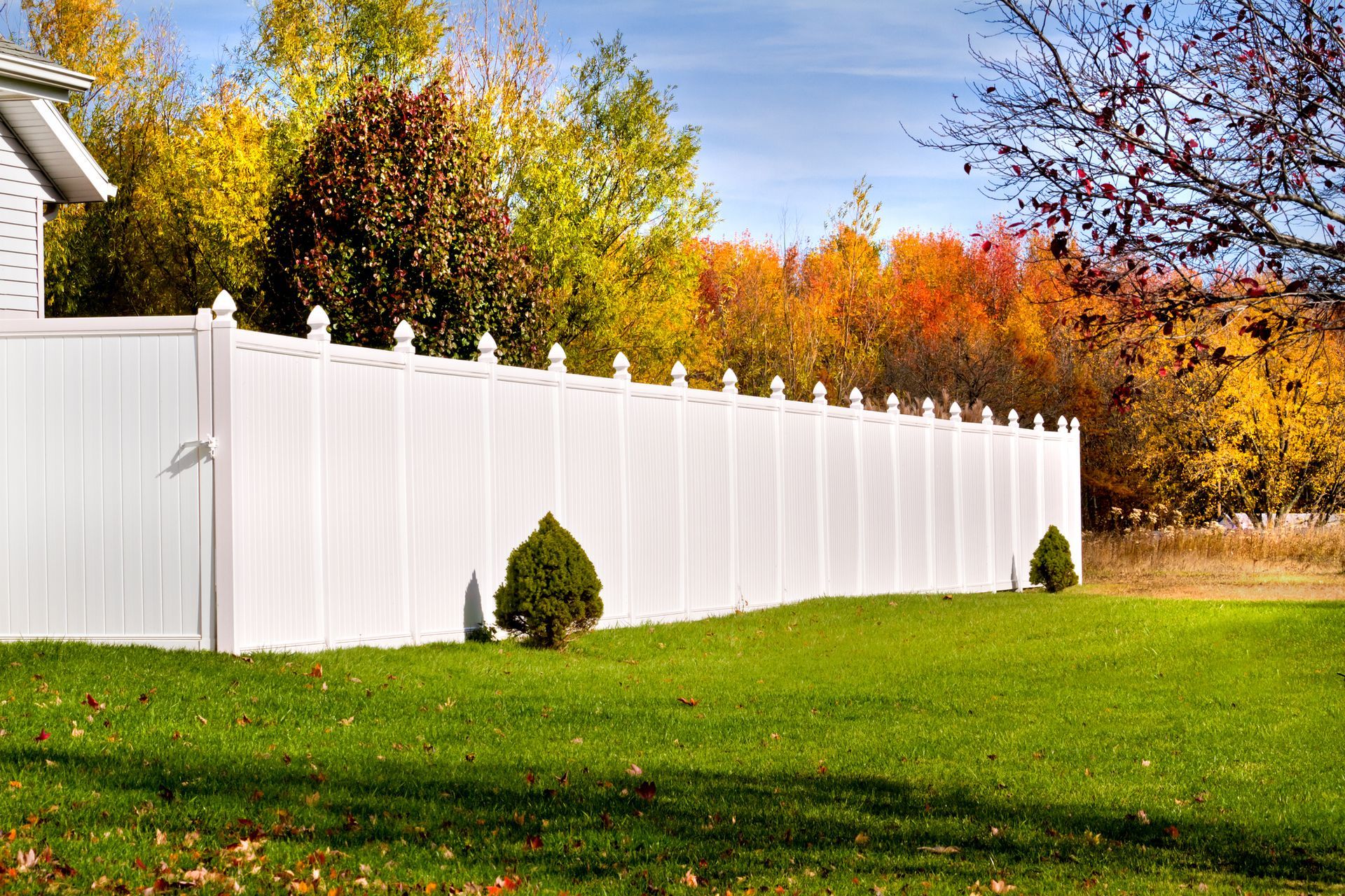 White fence in a yard with green grass, autumn trees in the background.