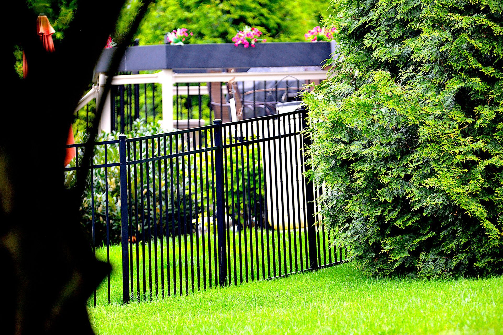 Black metal fence on green lawn, partly obscured by a tree, with a structure and greenery in the background.