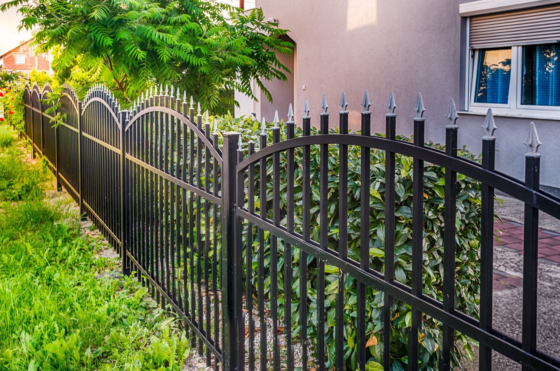 Black metal fence with arched top and spear-like finials along a grassy yard, beside a house with green foliage.