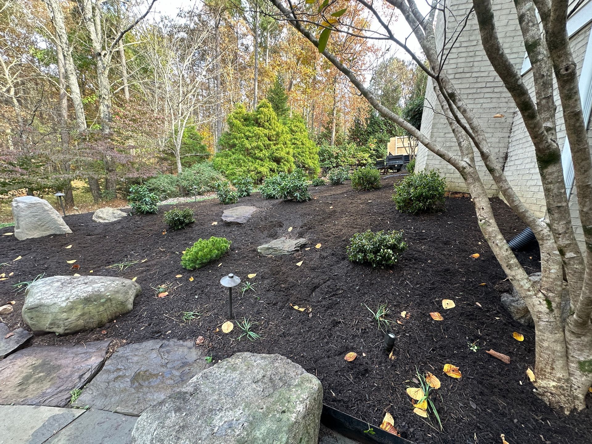 Landscape Design & Installation