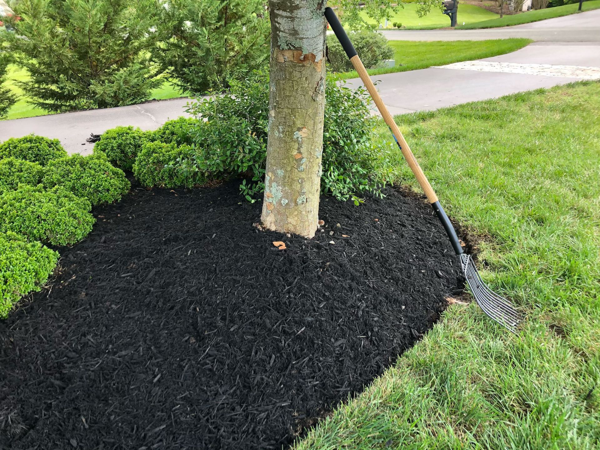 Mulching