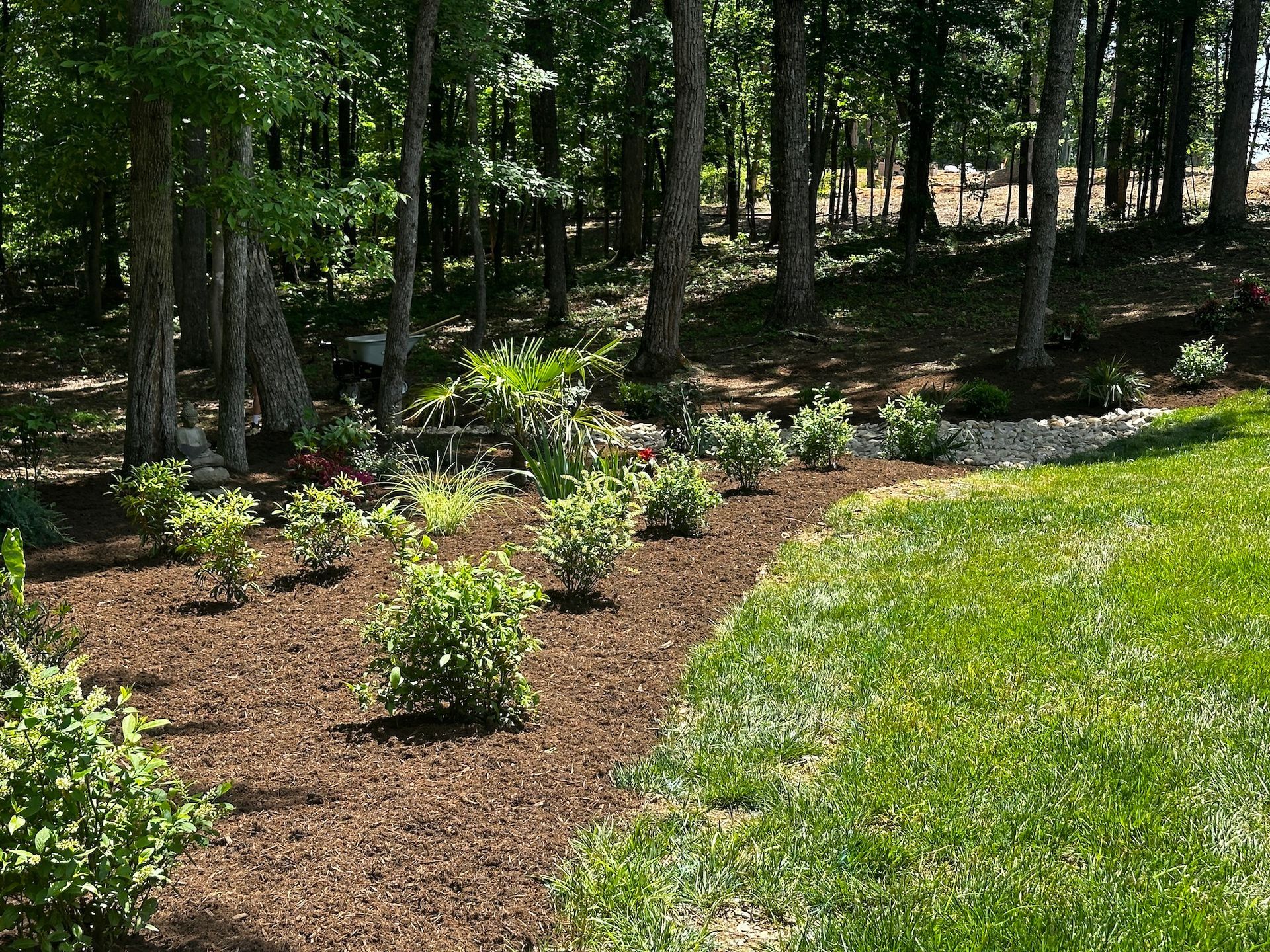 Plant Installation