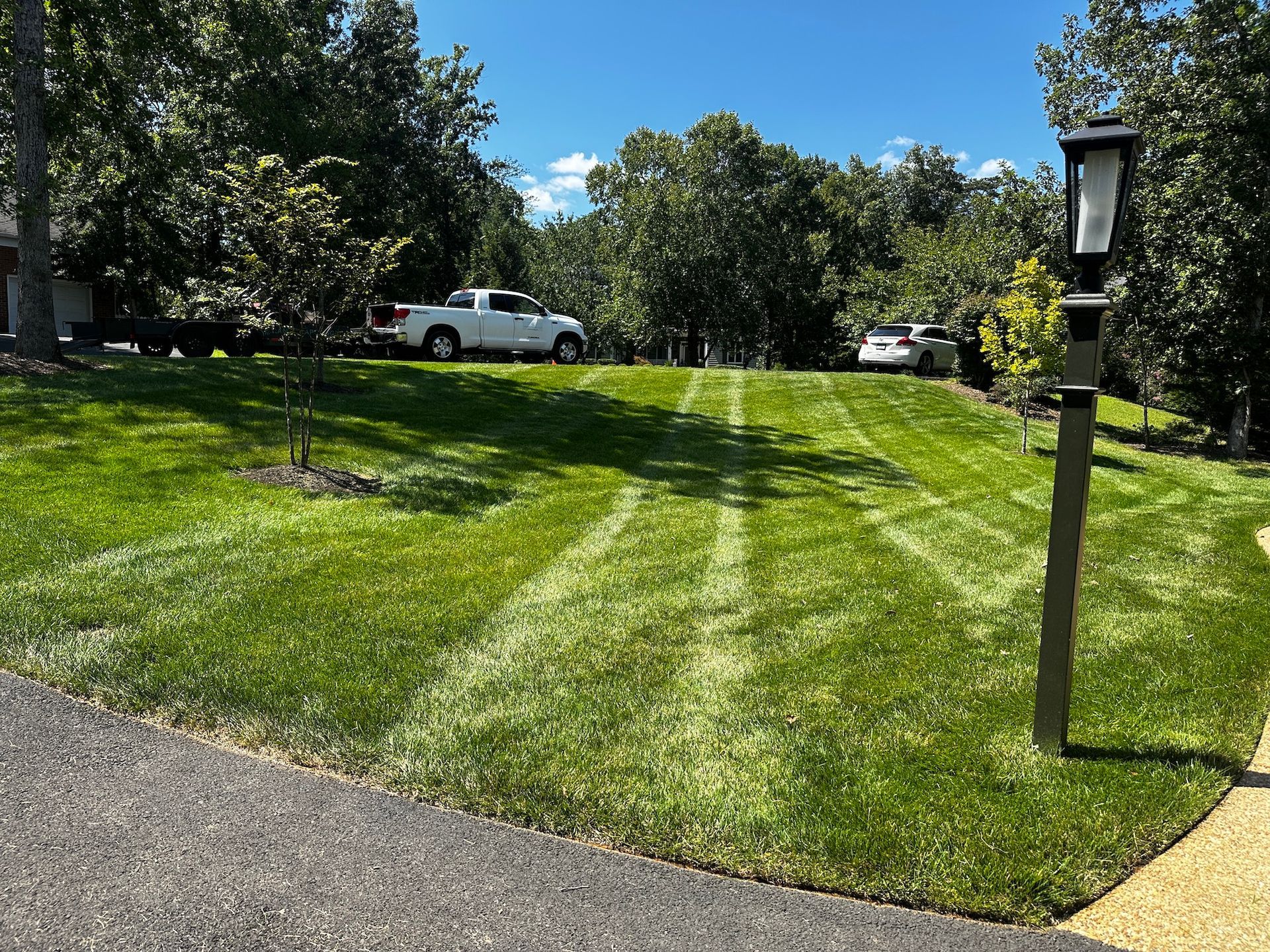 Commercial Lawn Care & Mowing