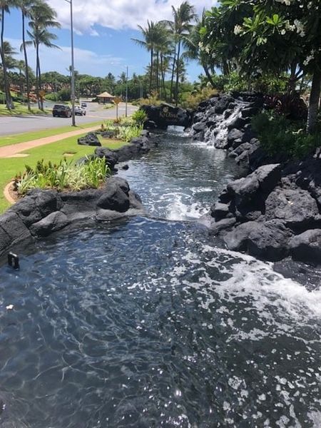 A waterfall is surrounded by rocks and trees