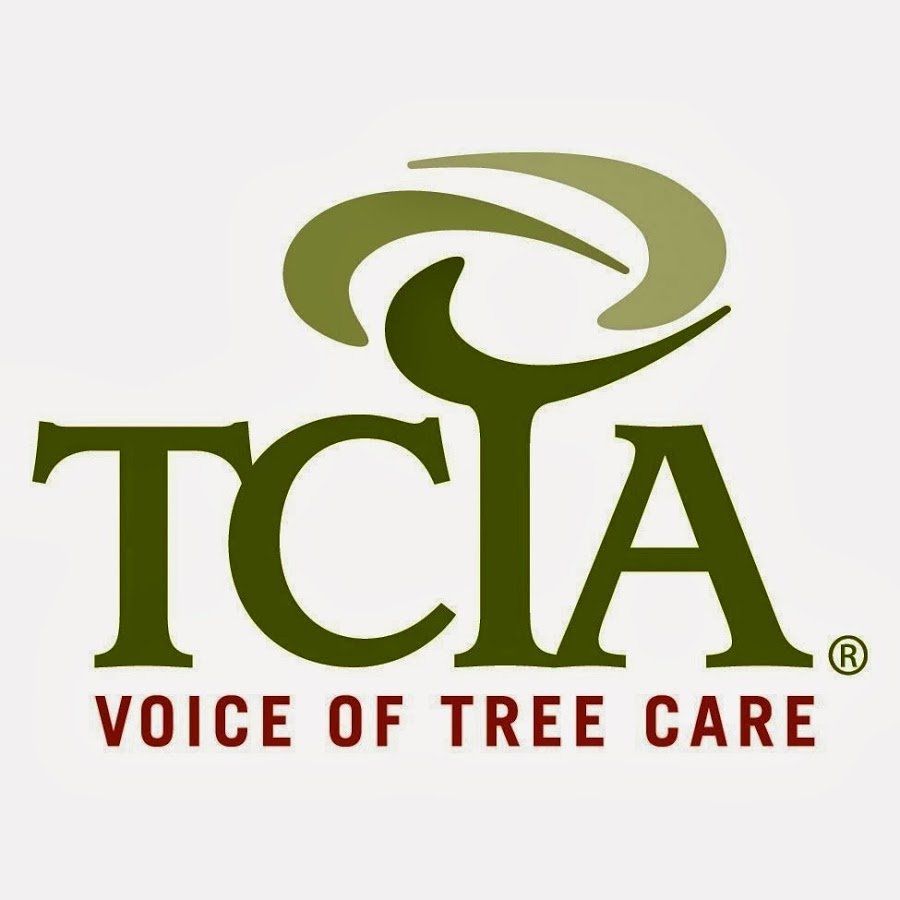 TCTA