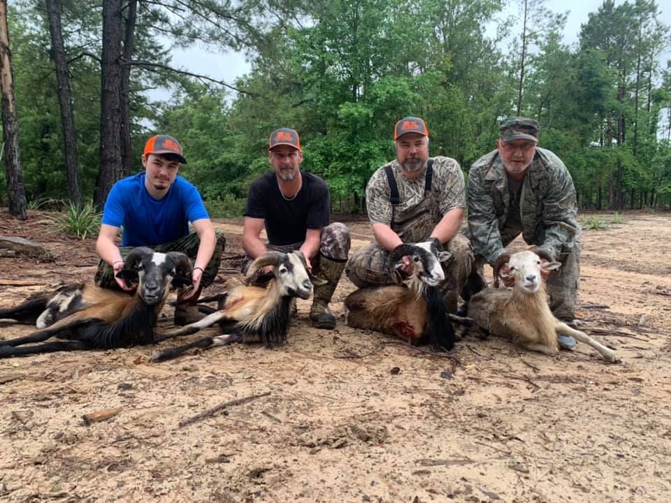 Four Men Hunt a Deer