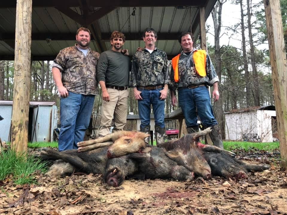 Men Hunt a Wild Boars in the Forest