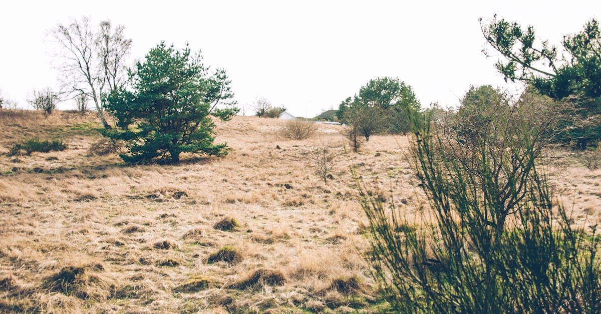 Home Renovations, Room Addition, Plumbing Repairs, Replace Plumbing Piping, Repair Water Leaks, Leaky Faucet, Repair Faucets, Repair Toilet Leaks, Toilet Replacement, Bathroom Remodel, Basement Remodel, Kitchen Remodel, Deck Install, Deck Repair, Deck Staining, Trim Staining, Awning Installation, Awning Staining, Awning Painting, Painting, Interior Painting, Exterior Painting, Drywall Patching, Drywall Installation, Drywall Repair, Cabinet Installation, Cabinet Repairs, Porch Installation, Porch Repairs, Light Fixture Replacement, Faucet Recap, Tap Replacement, Bathroom Tile Flooring, Vinyl Flooring, Handyman Near Me, Fence Install, Wood Fence Install, Chain Link Fence Install, Vinyl Fence Install, Heat Tape Install for Mobile, Heat Rod Install for Mobile Home, Mobile Homes Handyman, Mobile Home Skirting, Mobile Homes Siding Repairs, Leveling Services, Trash Clean Up, Regraveling driveways, Shed Demolition, Haul Off Services, Water Line Installation, Bush Hogging Service, Laclede County MO, Texas County MO, Plato MO, Rolla MO, Edgar Springs MO, Sherrill MO, Raymondville MO, Houston MO, Willow Springs MO, Springfield MO, Mansfield MO, Marshfield MO, St Roberts MO, Mountain Grove MO, Fort Leonard Wood MO, Fair grove MO, Lebanon MO, Richland MO, Dixon MO, Salem MO