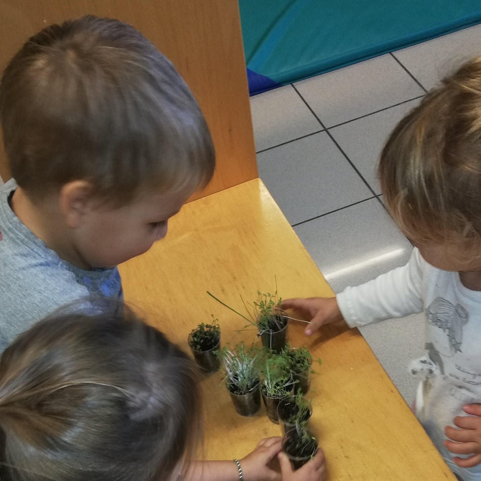 attività psicomotorie in un asilo nido