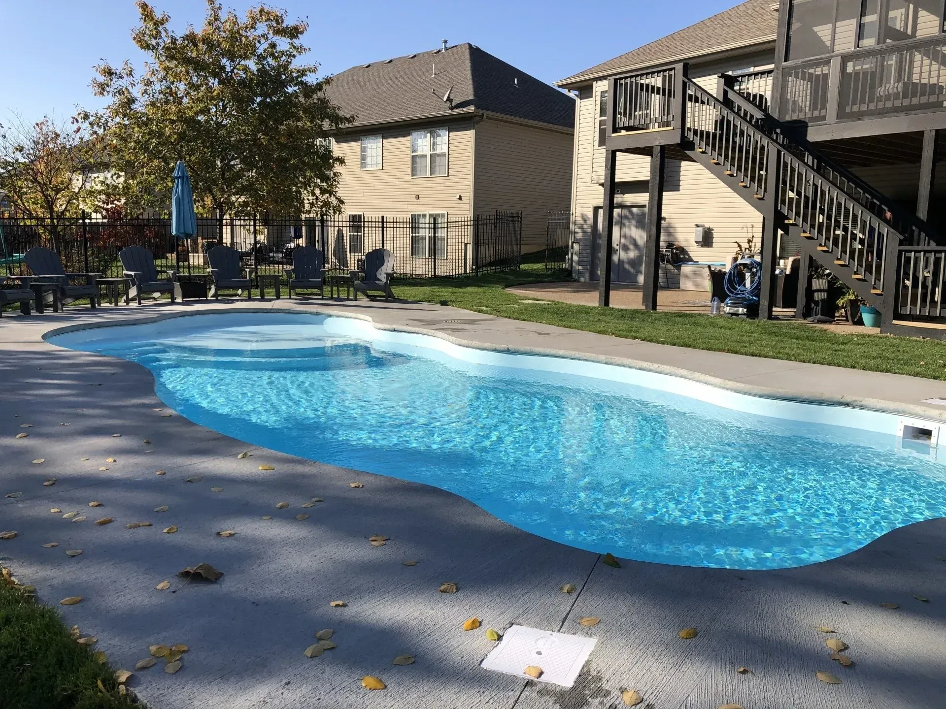 freeform pool in the backyard