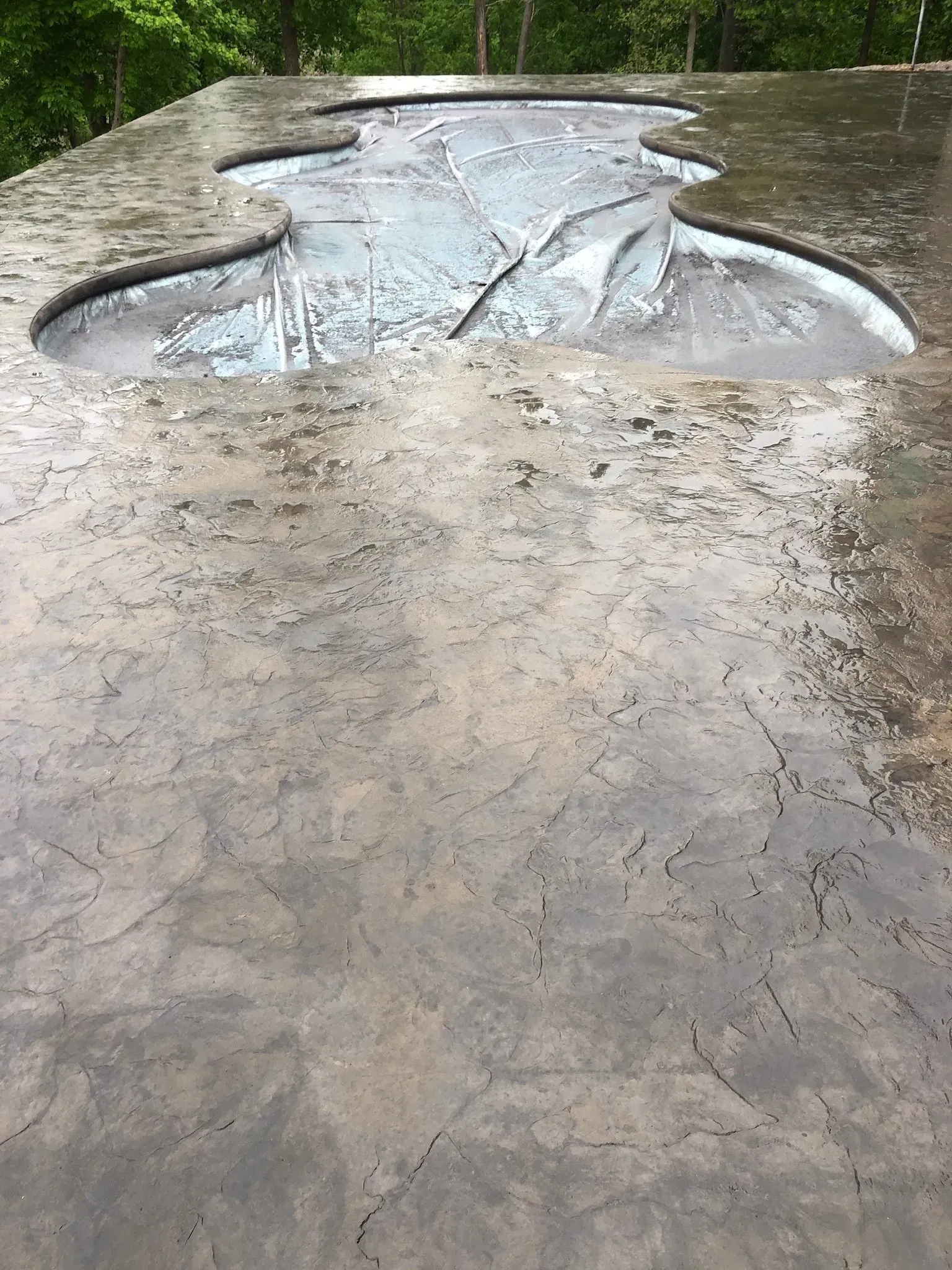 freeform pool with wet concrete deck that has been stamped and stained