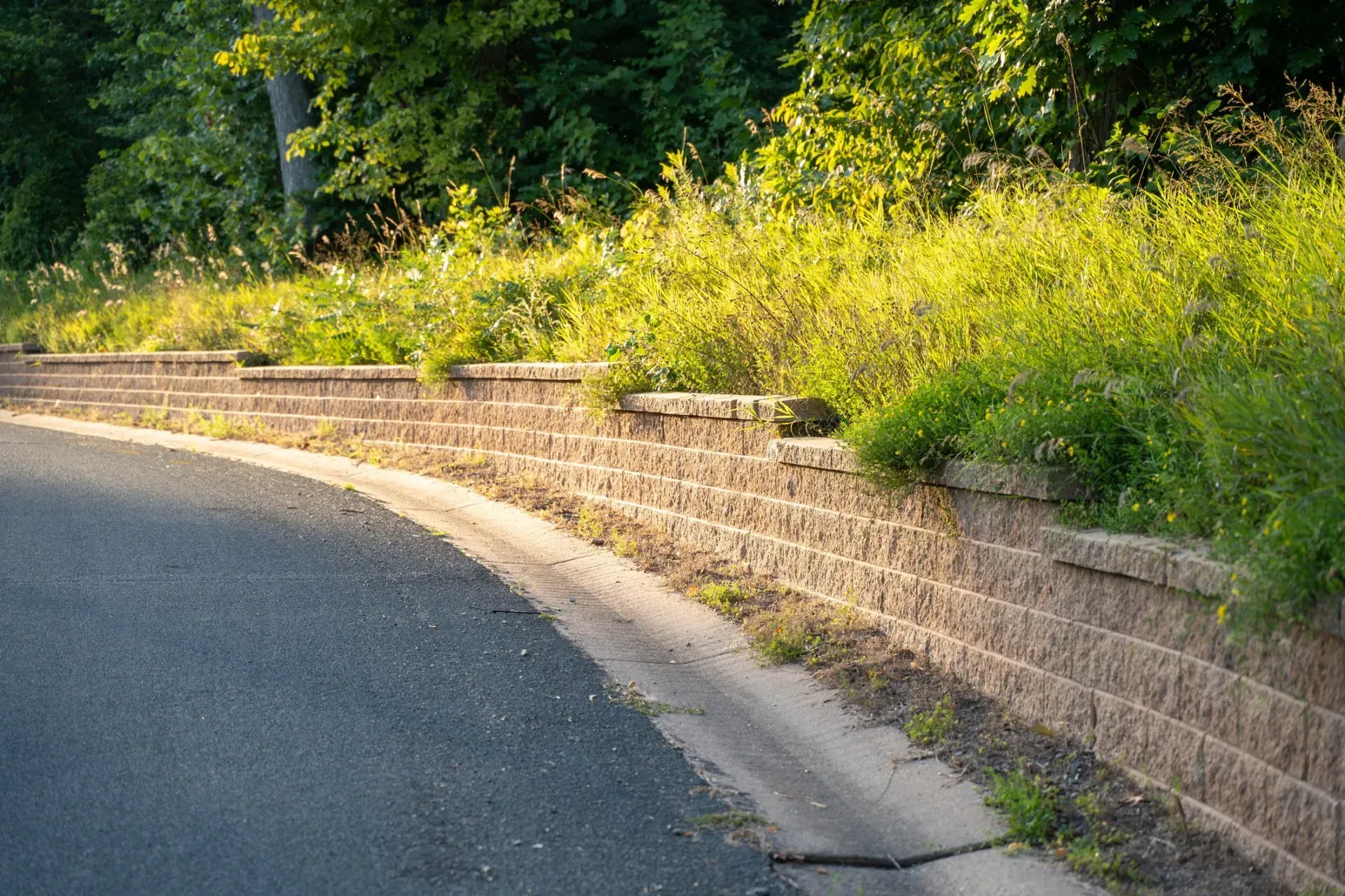 A retaining wall on the side of the road
