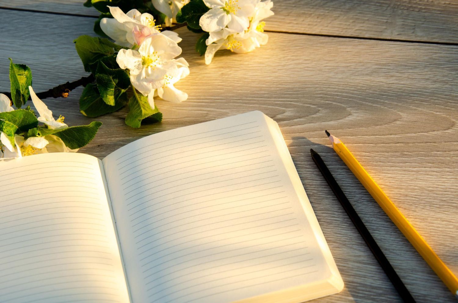 An open notebook sits on a wooden surface next to two pencils and a sprig of white blossoms, bathed in soft sunlight.