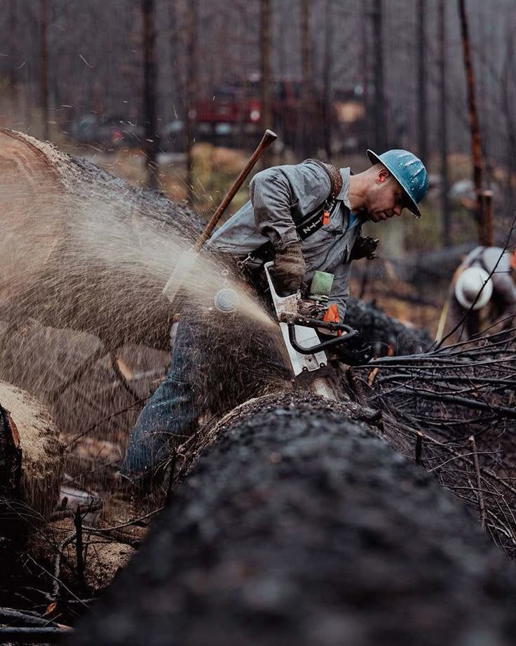 A logger wearing a blue helmet cuts a tree trunk with a chainsaw in a forest, sawdust flying.