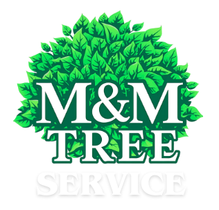 Logo for M&M Tree Service with green leaves, white text, and a tree-like shape.