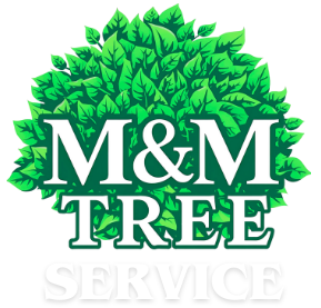M&M Tree Service logo: Green leaves surround white letters 