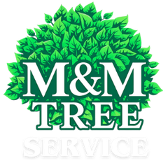 M&M Tree Service logo: Green leaves surround white letters 