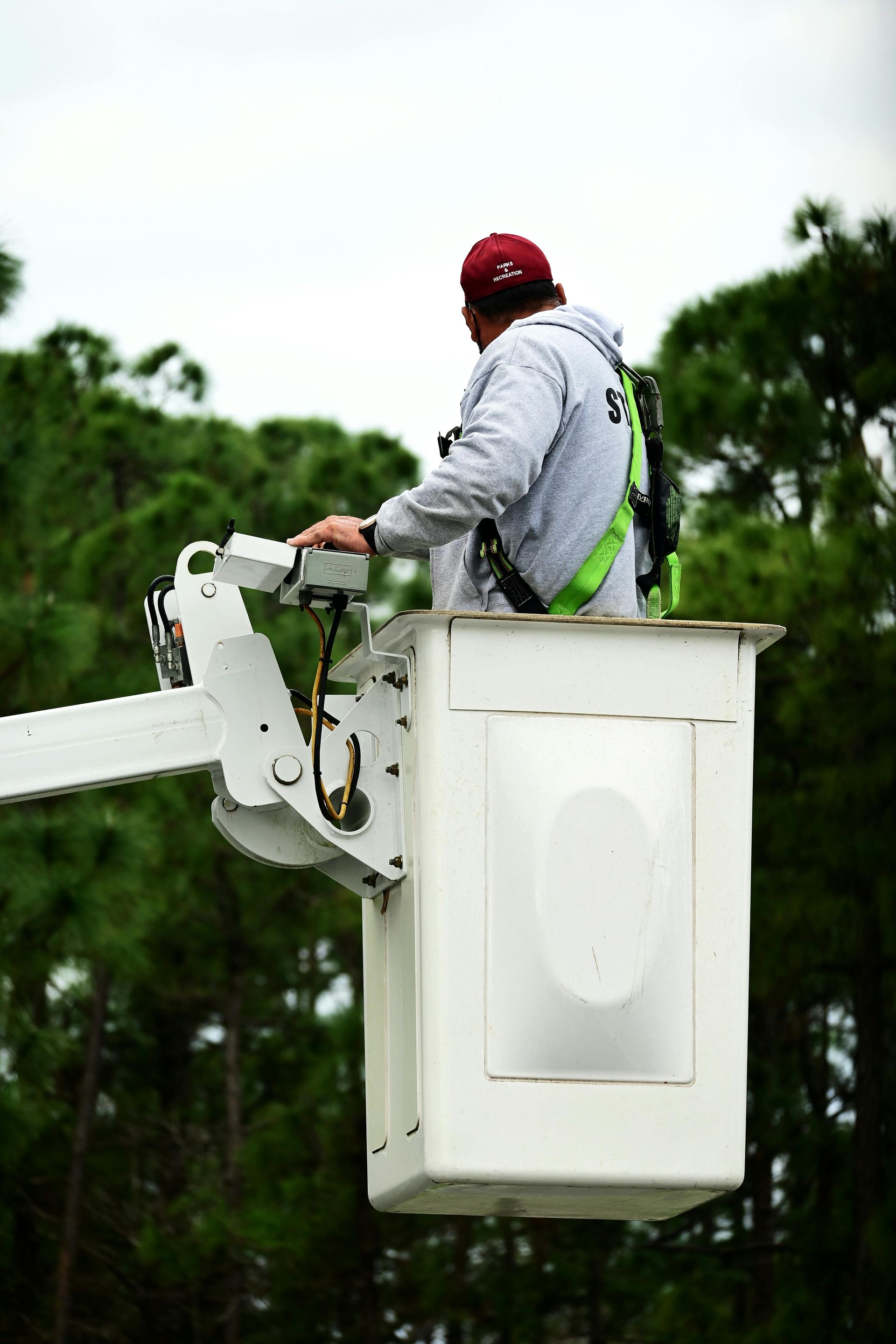 Man in bucket lift, wearing harness and hat, surveys treetops.