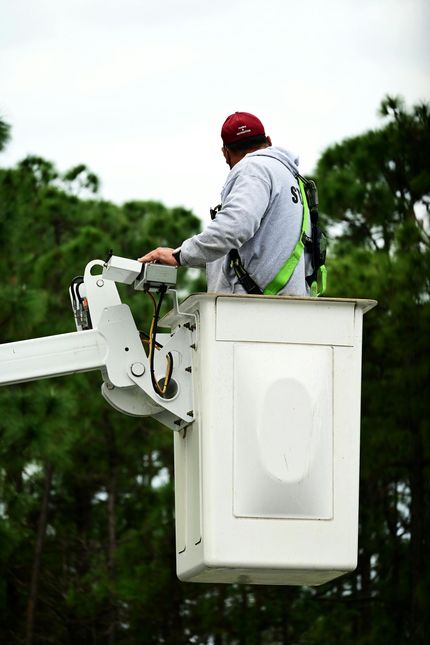 Man in bucket lift, wearing harness and hat, surveys treetops.
