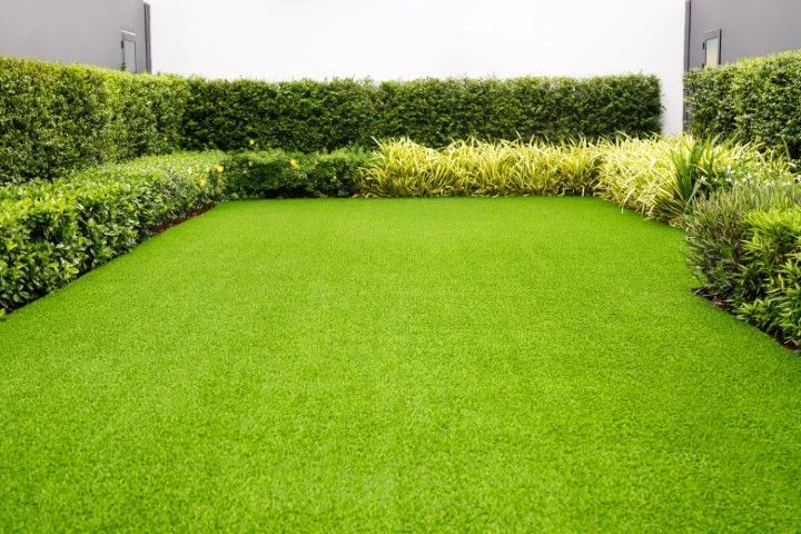 Bright green lawn bordered by trimmed hedges in a small landscaped courtyard