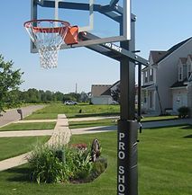 A basketball hoop is sitting in the middle of a lush green yard in front of a house.