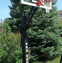 A basketball hoop is sitting in front of a tree in a backyard.