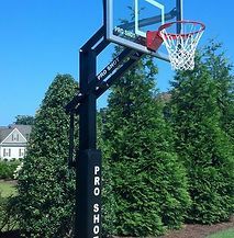 A basketball hoop is sitting in the middle of a park surrounded by trees.
