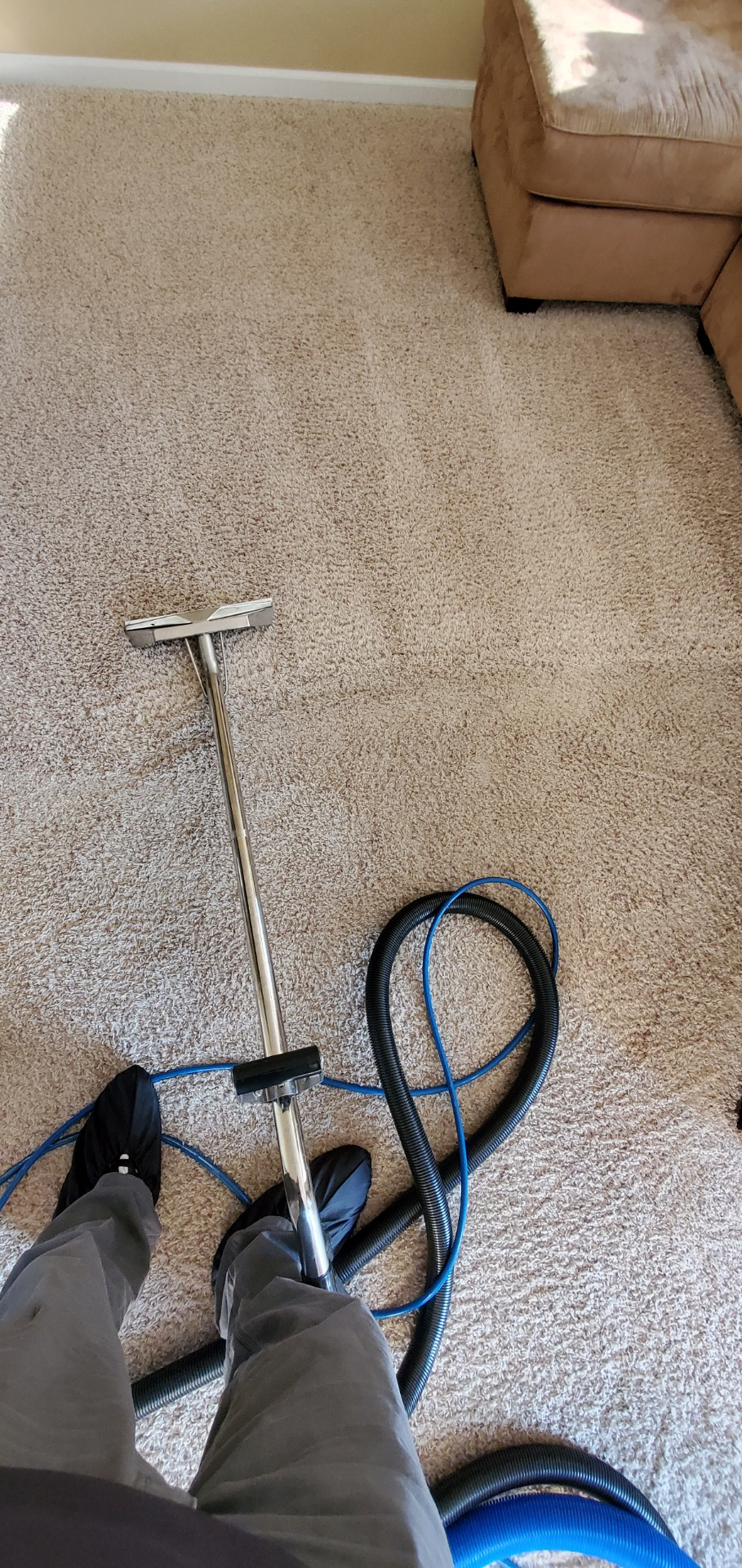 Person using a carpet cleaner on a tan carpet. The carpet cleaner has a blue hose and a wand.