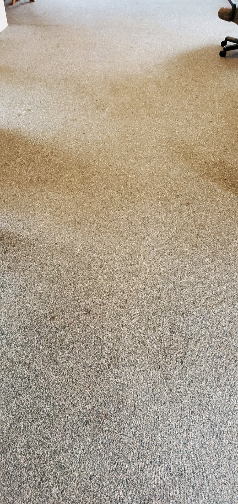 Tan speckled carpet with darker worn patches.