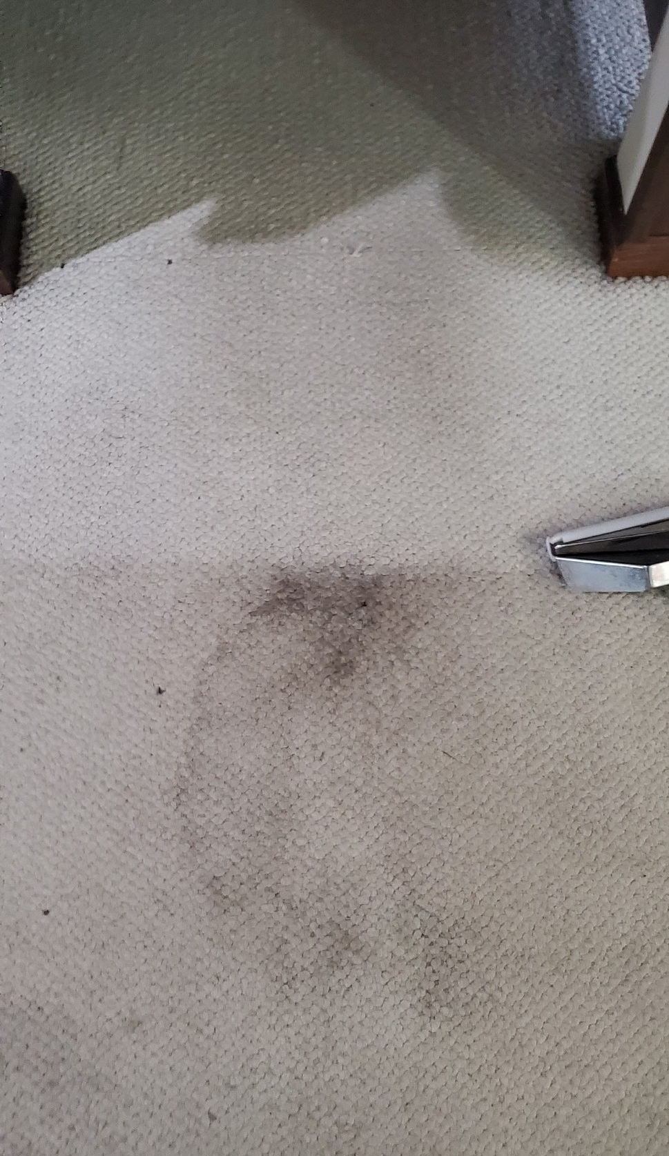 Dark stain on light carpet.