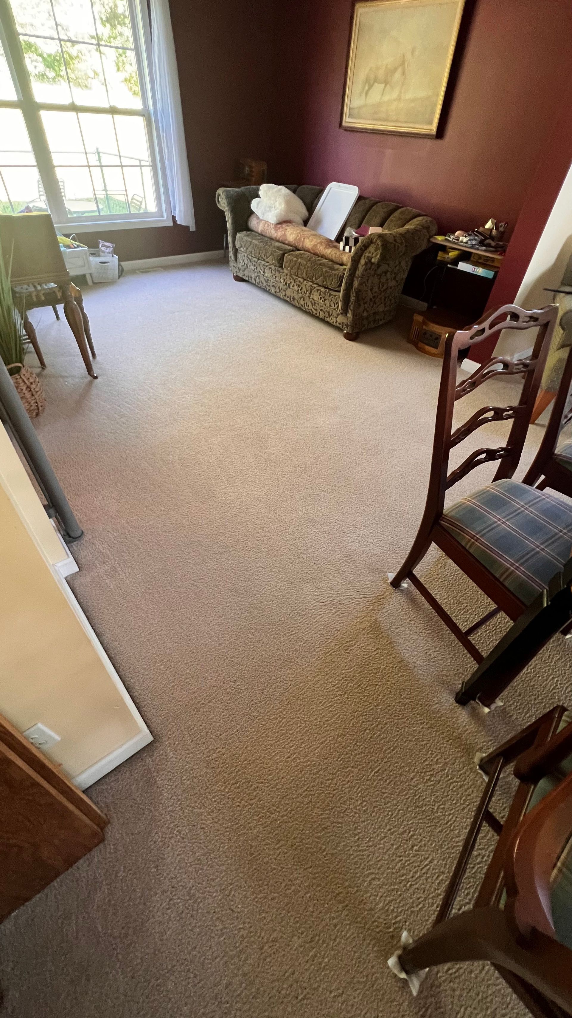 Room with beige carpet, sofa, chairs, window, and dark red walls.