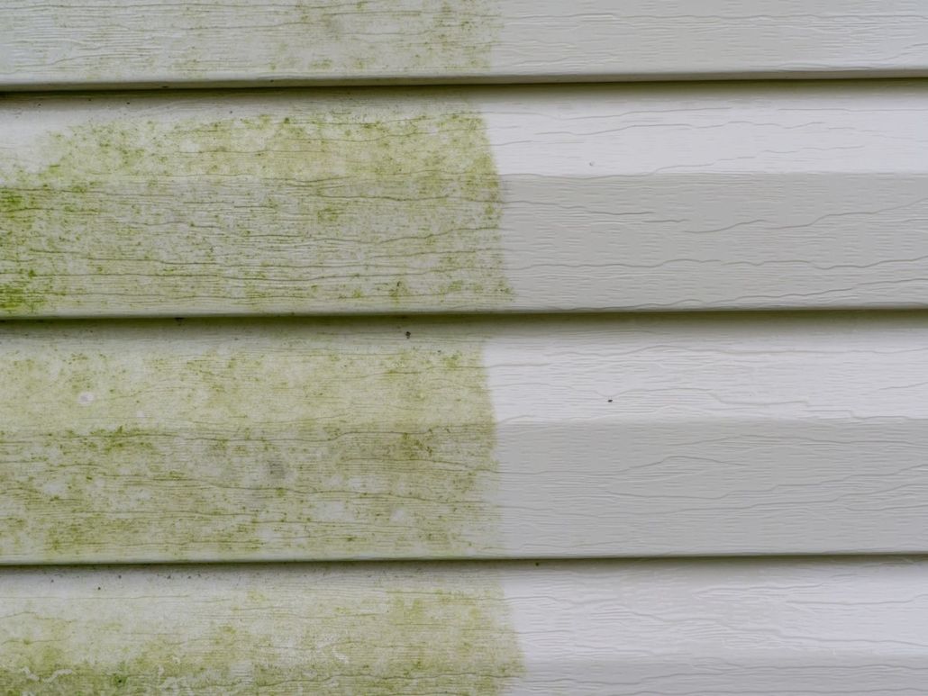 Siding cleaning