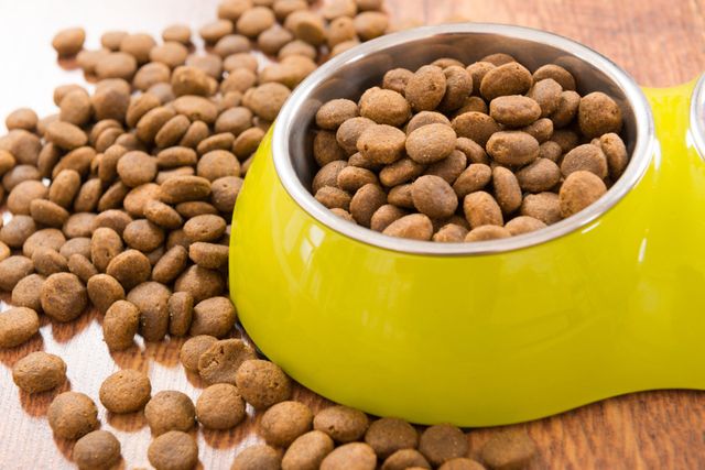 pet world dog food