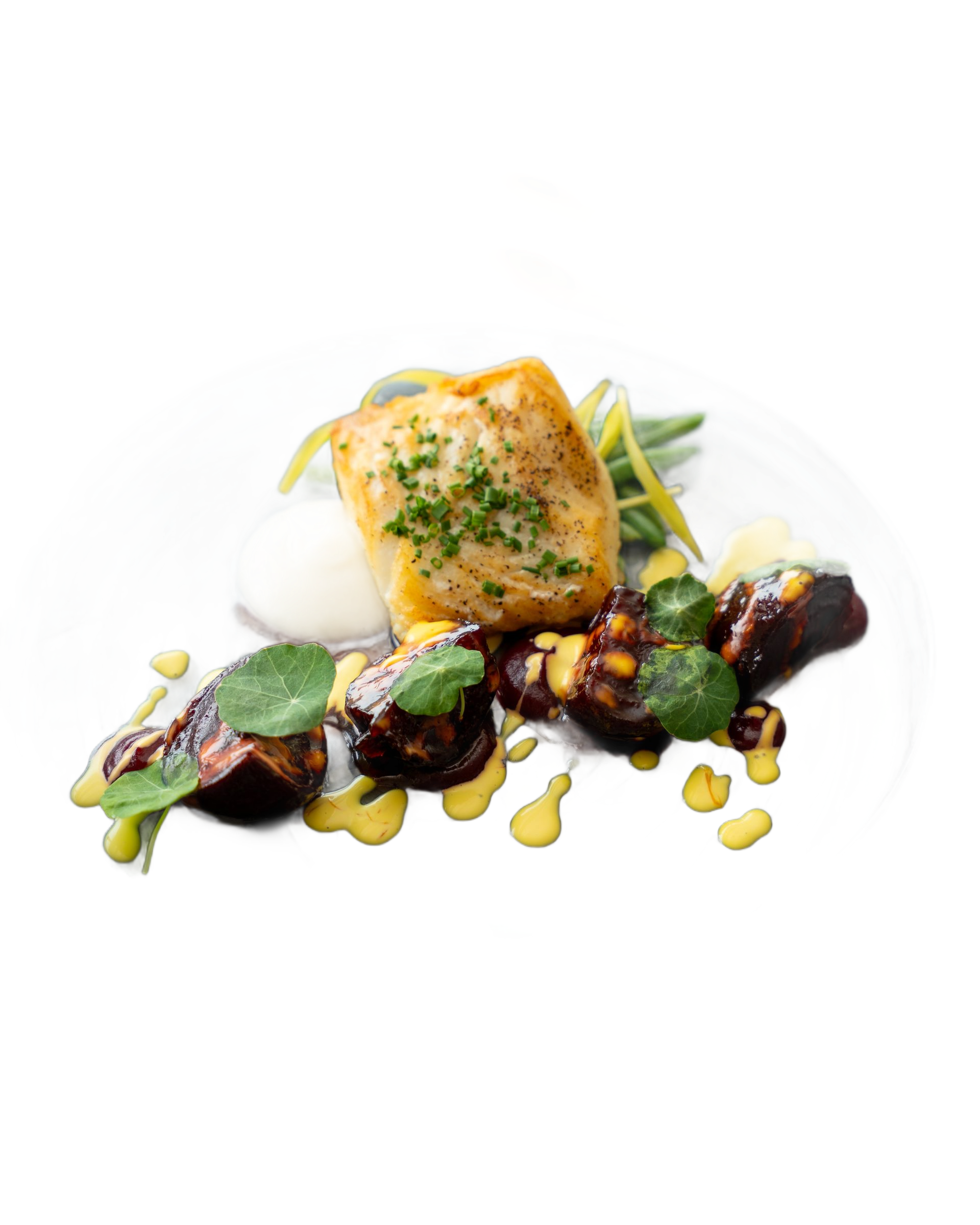 Plate with seared fish, purple eggplant, sauce, beans, and herbs.