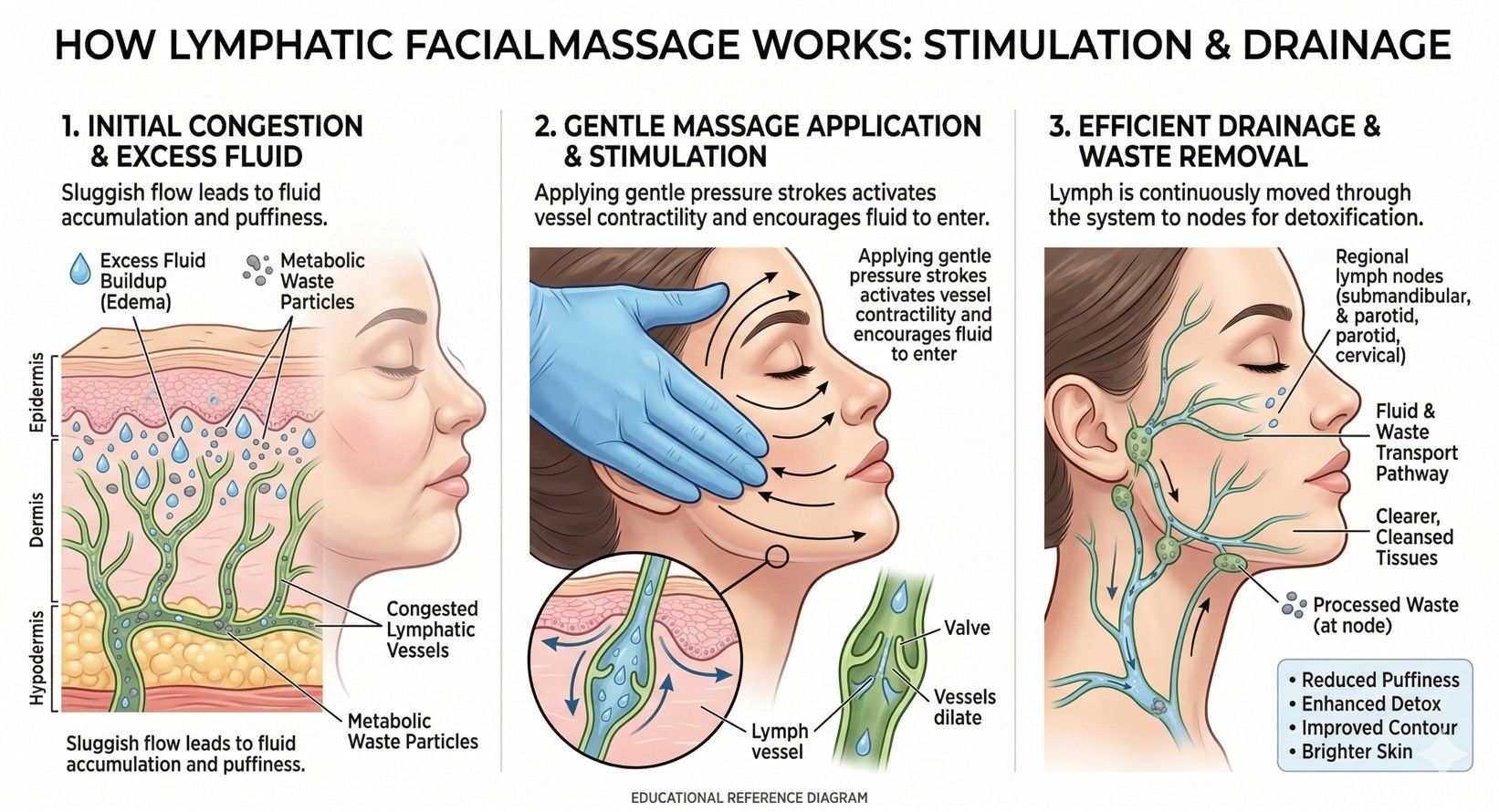 Infographic showing how a lymphatic massage can stimulate the drainage of excess fluid from the face
