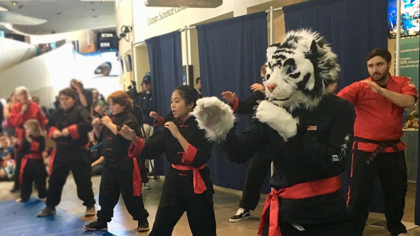 A group of people are practicing martial arts with a tiger mascot.