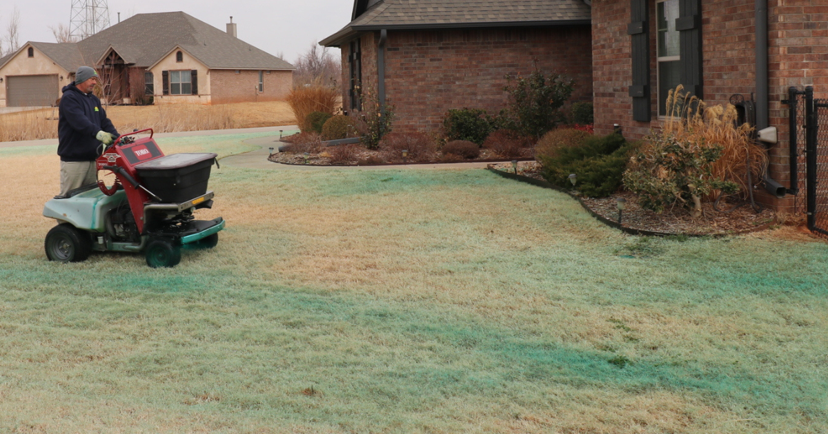 Lawn Weed Spraying & Pre-Emergent Services