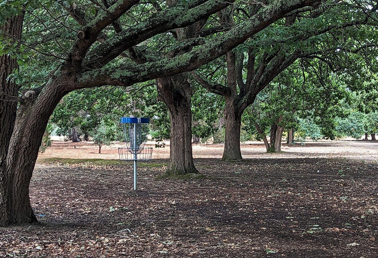 a frisbee golf course in a park with trees and leaves on the ground .