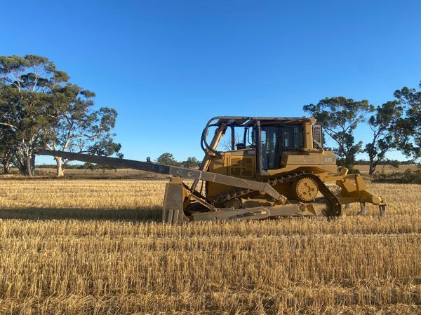 A bulldozer is working in a field with trees in the background.