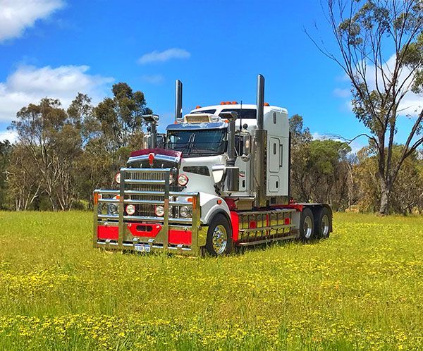 A semi truck is parked in a field of tall grass.