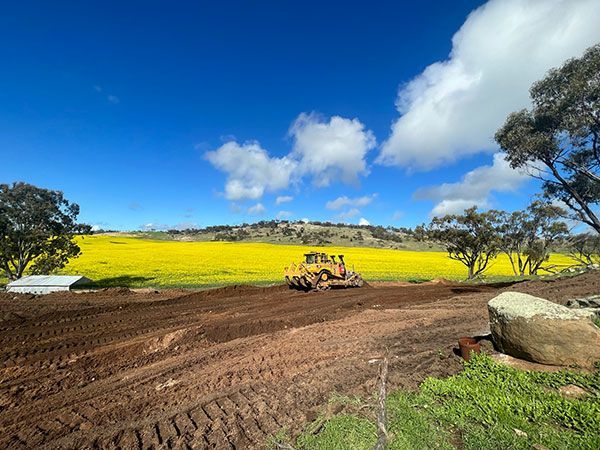 A bulldozer is driving down a dirt road next to a field of yellow flowers.