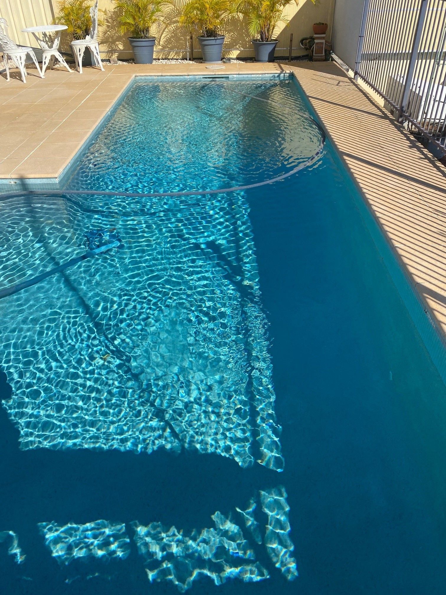 Pool With Clear Blue Water, Reflecting Shadows From a Fence and Trees — Mad Pool Interiors and Renovations in Baringa, QLD