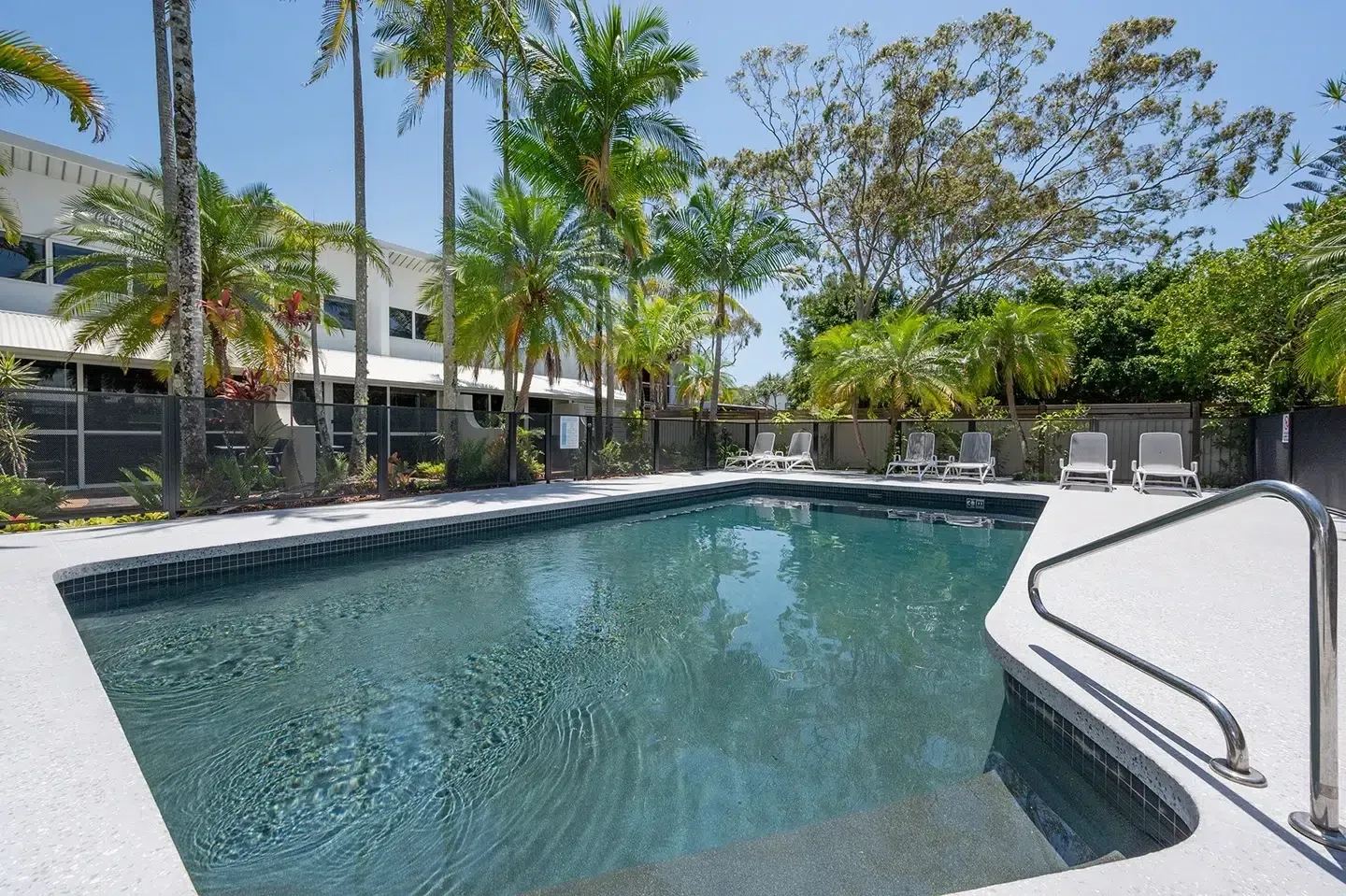 Swimming Pool Surrounded by Palm Trees and a Low Fence — Mad Pool Interiors and Renovations in Baringa, QLD