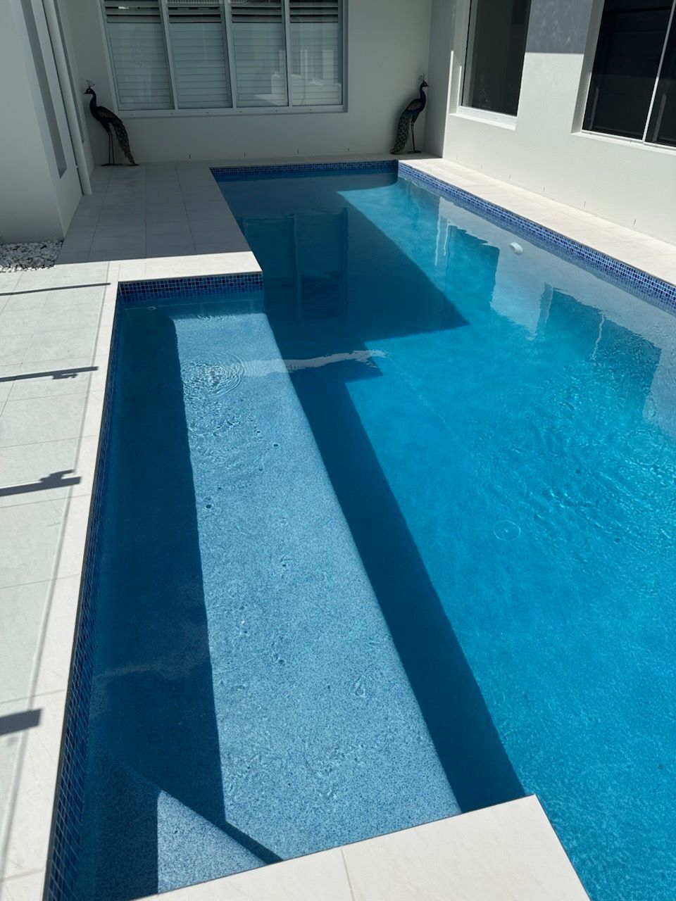 Small Blue Swimming Pool in a Bright White Courtyard — Mad Pool Interiors and Renovations in Baringa, QLD