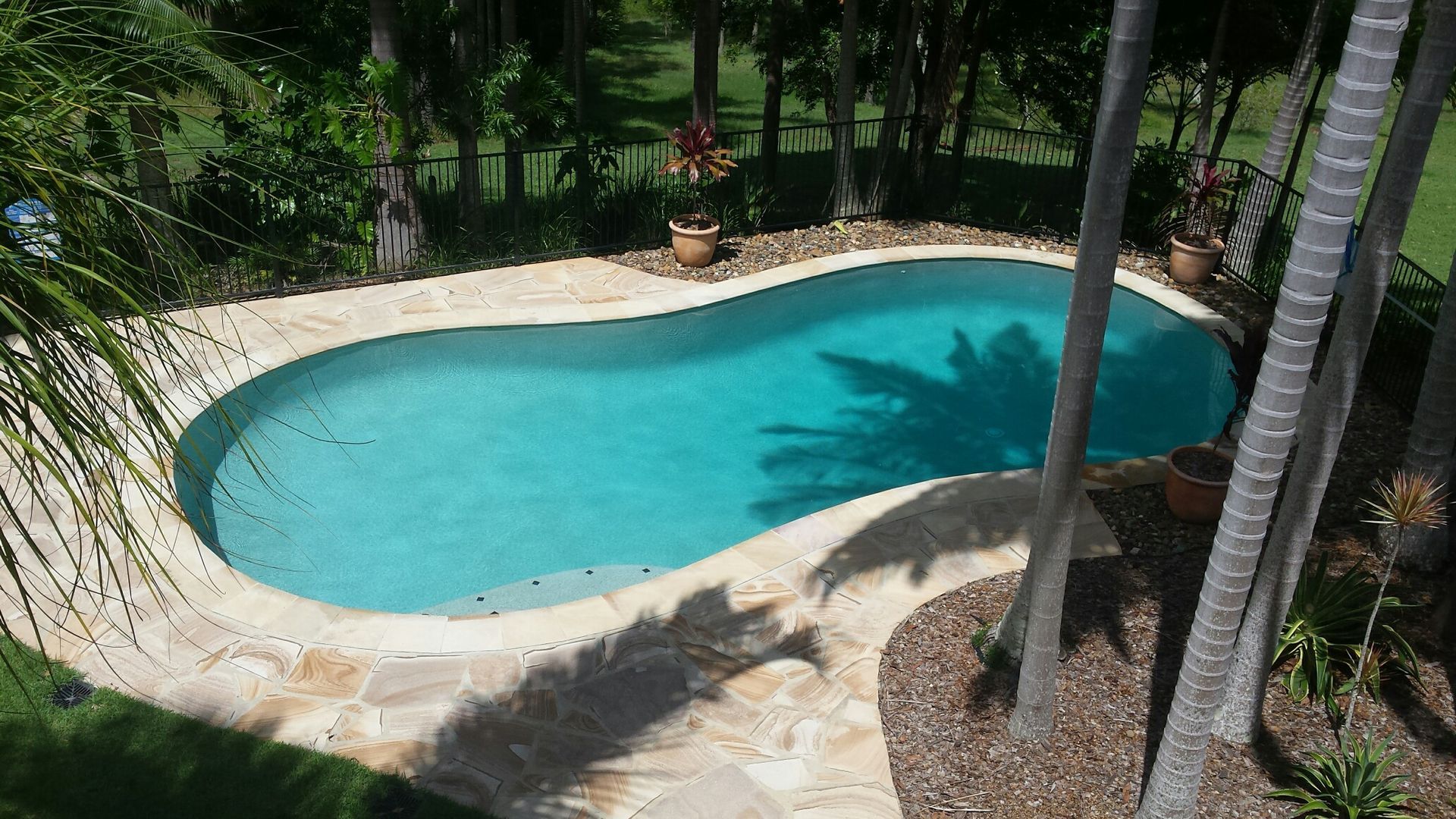 Pool With Teal Water, Surrounded by Stone and Palm Trees — Mad Pool Interiors and Renovations in Baringa, QLD