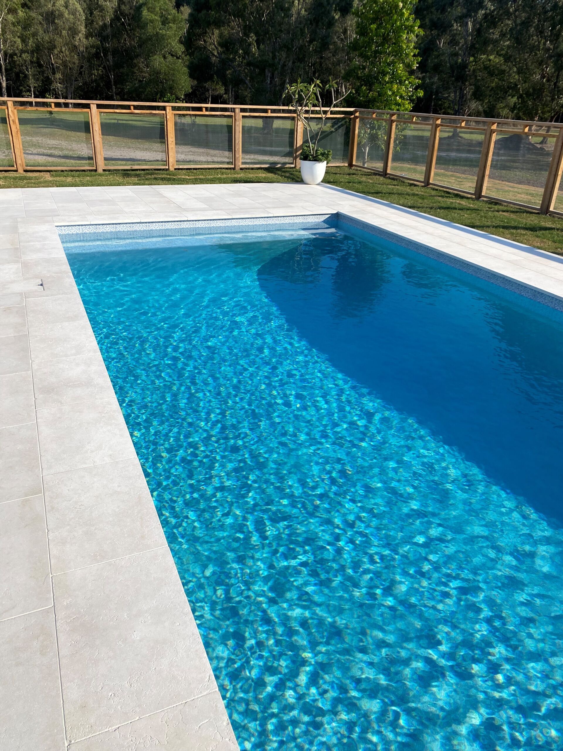 Backyard Swimming Pool With Clear Blue Water and a Wooden Fence — Mad Pool Interiors and Renovations in Baringa, QLD