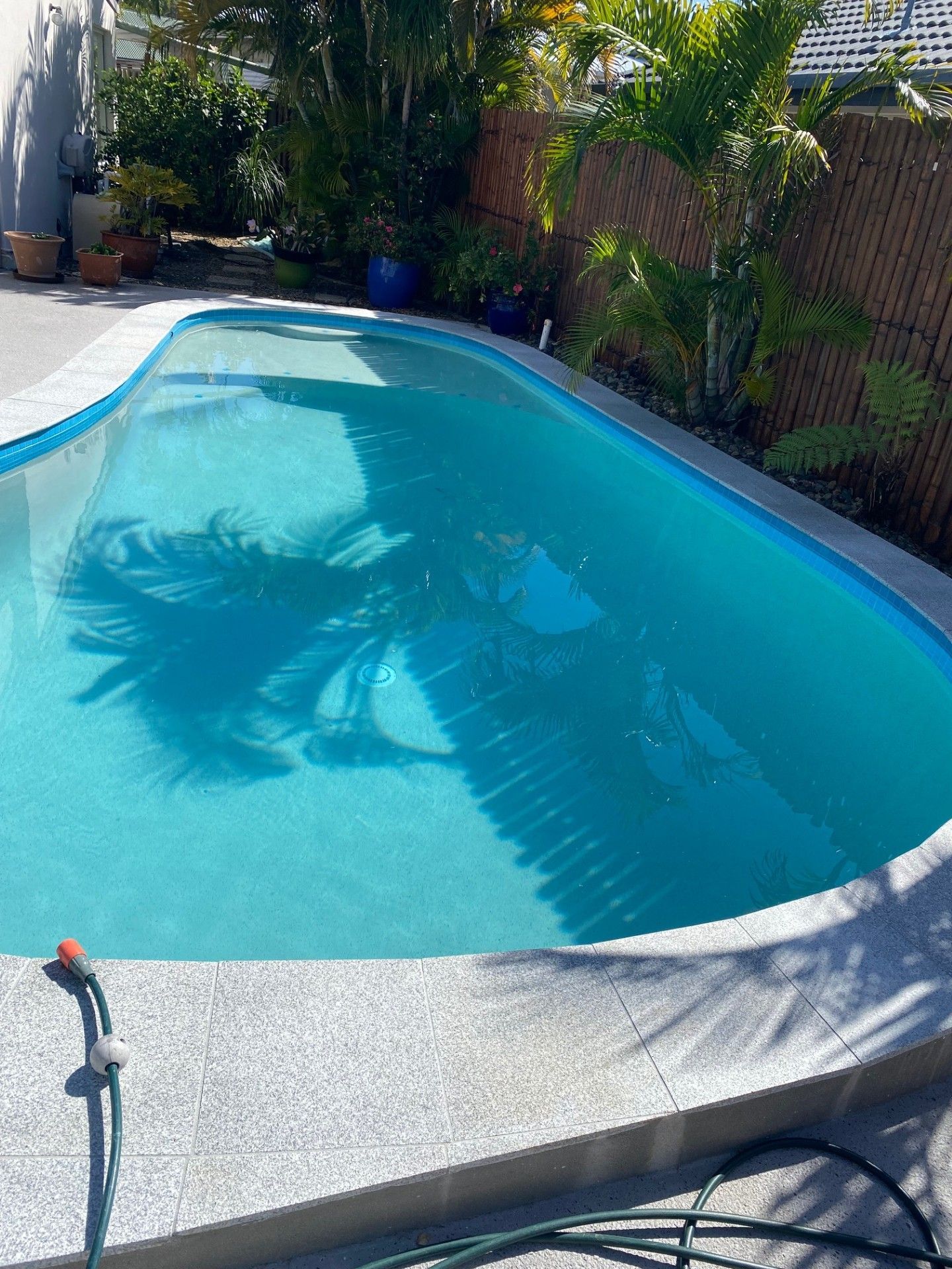 Swimming Pool With Turquoise Water Reflecting Palm Trees — Mad Pool Interiors and Renovations in Baringa, QLD