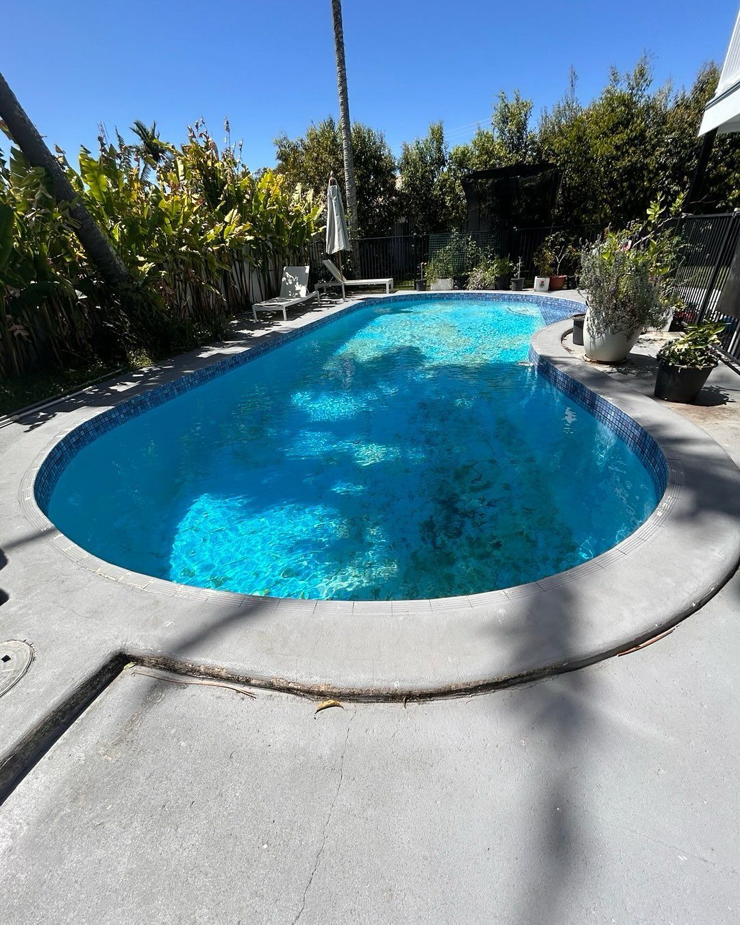 Oval-shaped Swimming Pool With Blue Water Surrounded by Concrete — Mad Pool Interiors and Renovations in Baringa, QLD