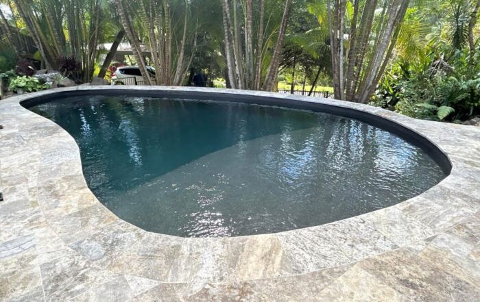 Curved Stone Pool Surrounded by Lush Tropical Trees and Plants — Mad Pool Interiors and Renovations in Baringa, QLD